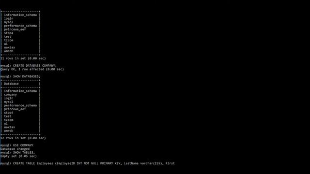 LECTURE 13 INTRODUCTION TO DATABASES SQL DDL COMMANDS смотреть онлайн