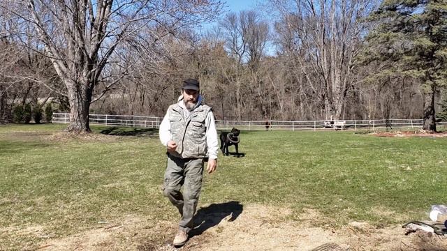 Весенний день в Миннесоте - Spring in Minnesota смотреть онлайн