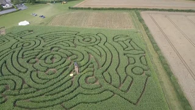 20190803 Maize Maze смотреть онлайн