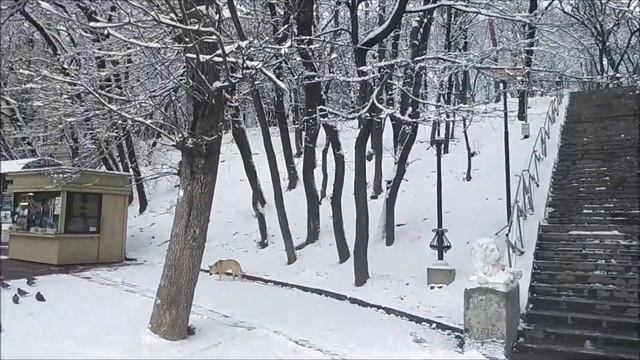 галерея источника Ессентуки 4. 24.12.17 смотреть онлайн