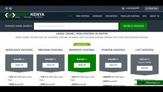 About EHost Kenya - Best Web Hosting Company смотреть онлайн