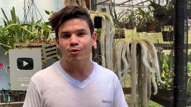 SORTEIO SURPRESA MARCOS JÚNIOR ORQUÍDEAS смотреть онлайн