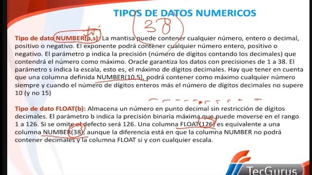 ¿Cuáles son los tipos de datos en Oracle? | | Ejemplos смотреть онлайн