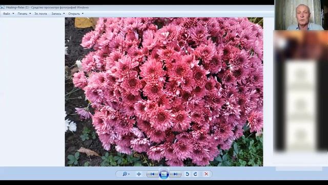 Как повысить свой иммунитет. Медитация на повышение иммунитета. смотреть онлайн