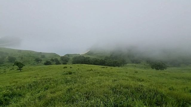 Пешком с мыса Льва до мыса Сосновый по заповеднику земля Леопарда. Бакланьи кекуры, Кекуры Штаны. смотреть онлайн