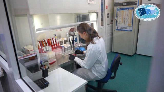 ВНИРО об изучении лосося смотреть онлайн