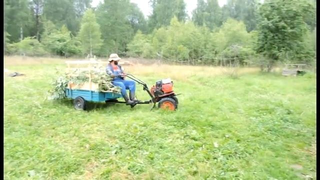 эпизод 15 Лучшая еда для коз - Козья ива смотреть онлайн