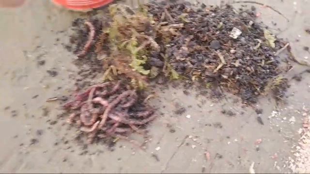 Мозырь. Река Припять. Мозырь 2018 смотреть онлайн