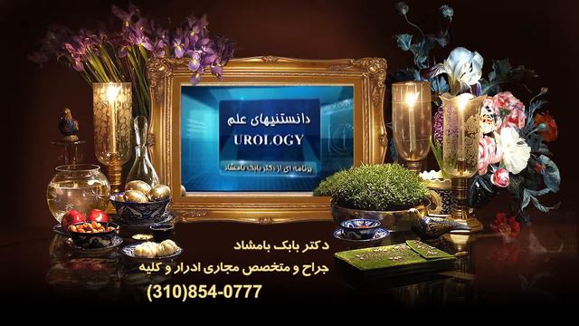 Dr Bamshad 1398 смотреть онлайн