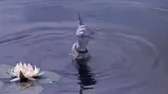 Должок смотреть онлайн