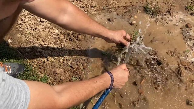 Корневая система рулонного газона смотреть онлайн