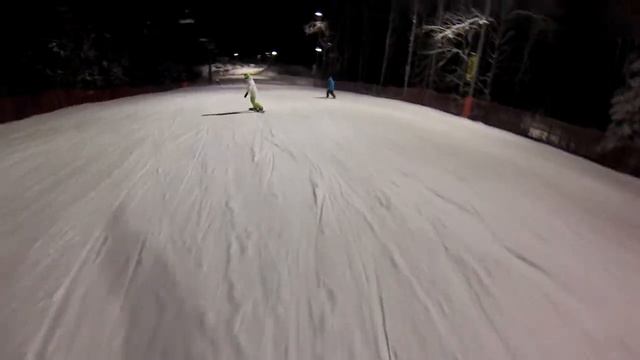 силичи(2)_24.01.2014