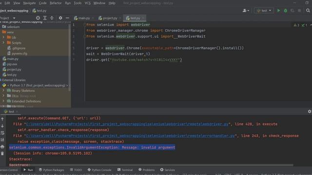 How To Fix Selenium.common.exceptions.InvalidArgumentException: Message: Invalid Argument