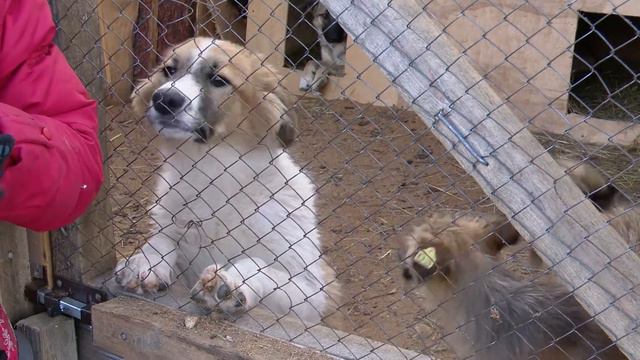 Здоровые бездомные