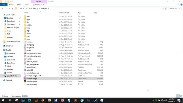 Downloading and Installing WAMP Server смотреть онлайн