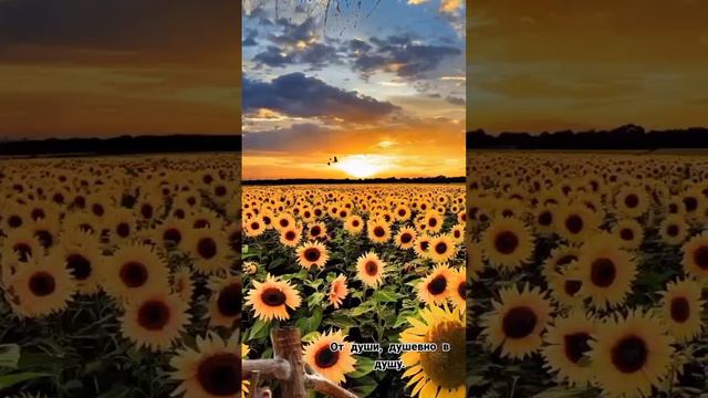 природа смотреть онлайн