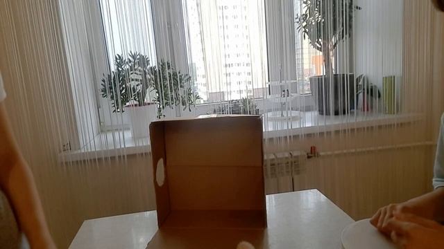 Угадываем предметы в слепую??️