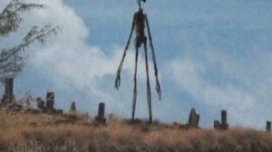 Звуки транслируемые Сиреноголовым / Звуки Сиреноголового / Звуки которые издаёт Сиреноголовый