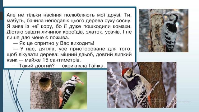 Літературне читання. 3 клас. Урок №3 смотреть онлайн