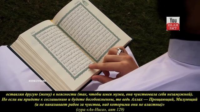 ПОЧЕМУ МНОГОЖЕНСТВО РАЗРЕШЕНО МУСУЛЬМАНАМ? многоженство в исламе \ сунна пророка смотреть онлайн