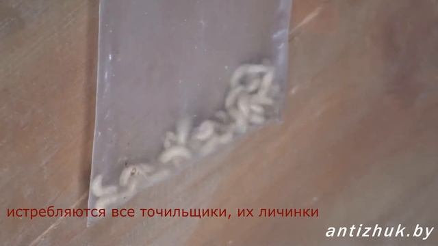 Уничтожение жука древоточца СВЧ методом. смотреть онлайн