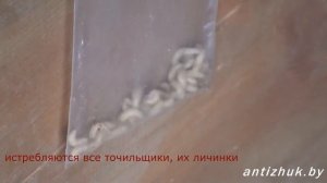 Уничтожение жука древоточца СВЧ методом.