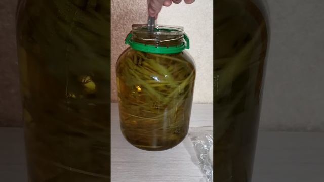 ЗУБРОВКА. Отличная настойка "Зубровка душистая".