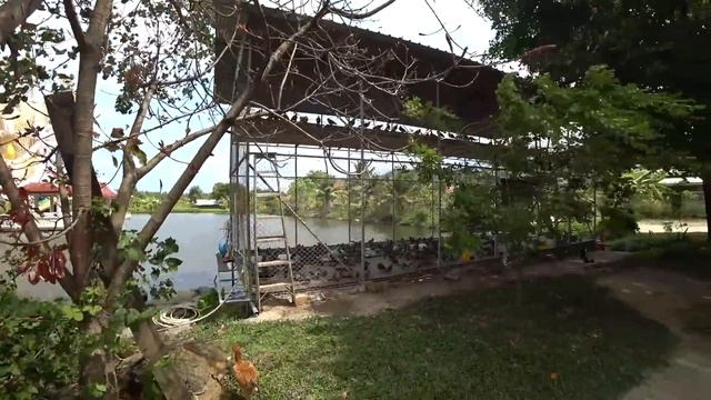 Что посмотреть на Самуи в Таиланде кроме пляжей? Достопримечательности Самуи, большой Будда. смотреть онлайн