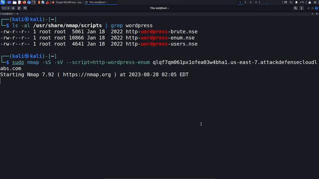 10.7. WordPress Enumeration with Nmap NSE Scripts смотреть онлайн