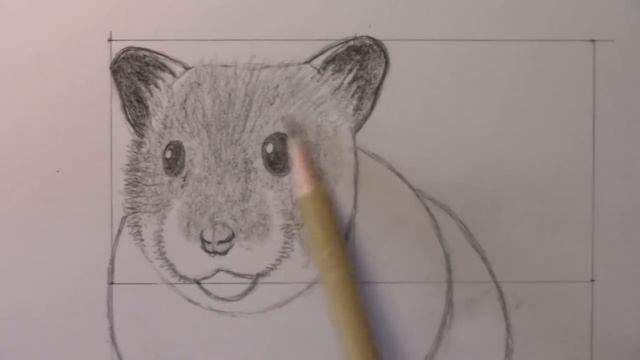 How to Draw a Hamster [Animal Tutorial #15] смотреть онлайн