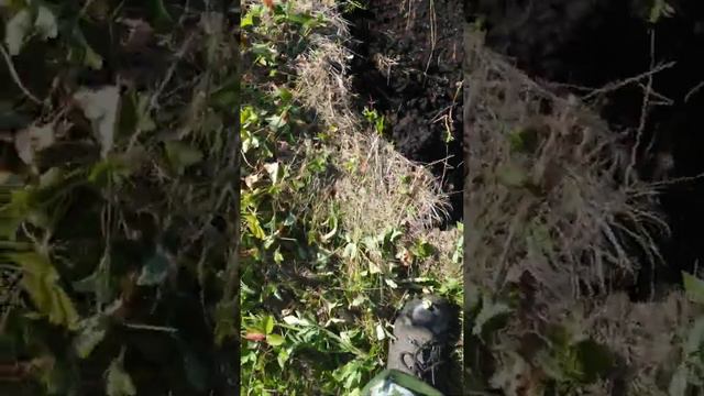металл есть только не ленись ! смотреть онлайн