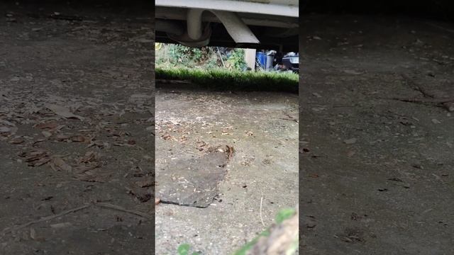 Alors, ça Fume #30 Renault Master 1998, 2,5d 386000km