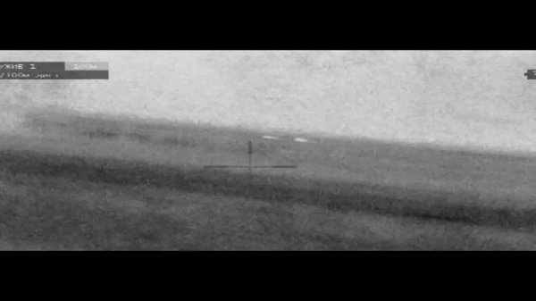 Тепловизор. Зайцы через объектив тепловизора DEDAL VENATOR