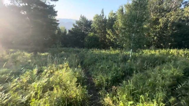 Гора над таежником смотреть онлайн