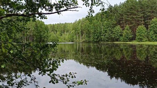 Большое путешествие (продолжение) Озеро Родионово , озеро Светлое и не только .mp4