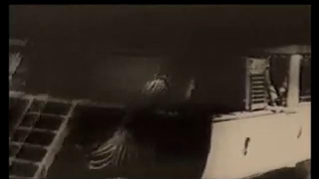 Titanic Murder Mystery Party Game смотреть онлайн