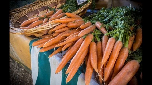 Обзор сорта моркови "Балтимор" (характеристики, свойства, фото) смотреть онлайн