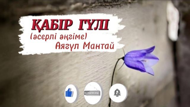 Қабір гүлі (әсерлі әңгіме) #аудиокітап #әңгімелер #ажалгүлі смотреть онлайн