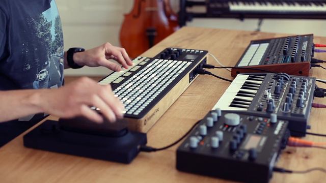 Polyend Seq MIDI Step Sequencer смотреть онлайн