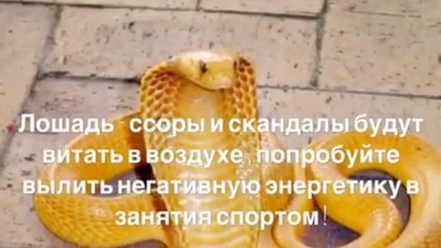 #Фен-шуй #прогноз на #май 2019 #месяц #Земляной #Змеи смотреть онлайн