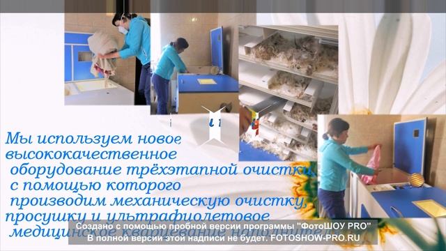 чистка подушек в Ивантеевке смотреть онлайн