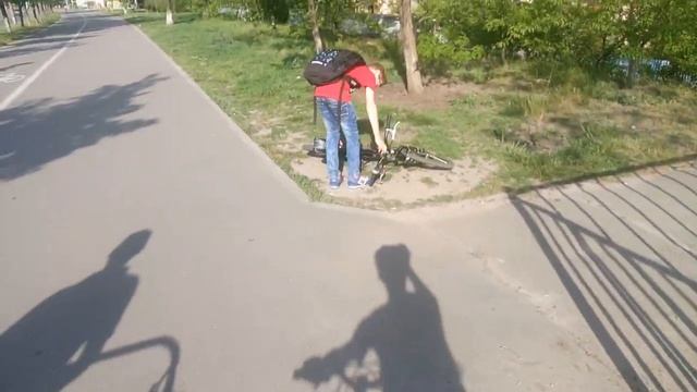 На моих глазах Сбили голубя!!! ♦️ Vlog: смотреть онлайн