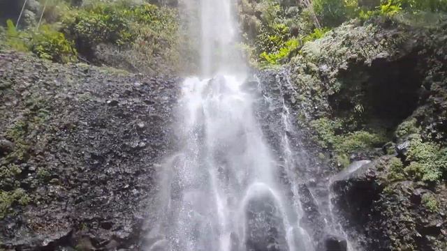 Caribbean PART III По следам пиратов Карибского моря. Остров Доминика. смотреть онлайн