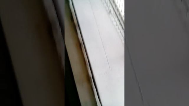 Покраска стен Брест смотреть онлайн