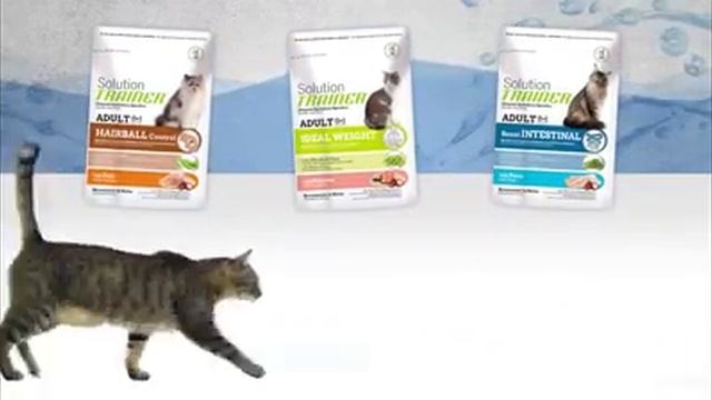 Natural Trainer Solution смотреть онлайн