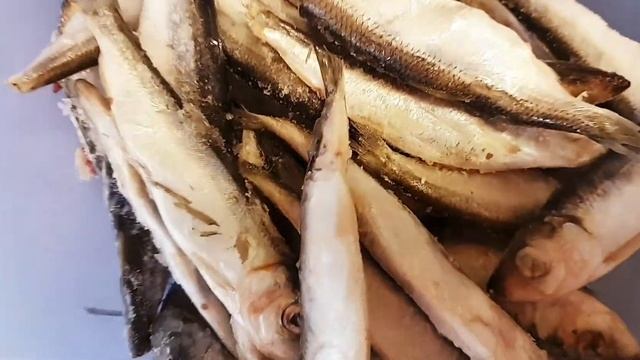 Как я готовлю рыбу Салака/Казашка в Германии смотреть онлайн