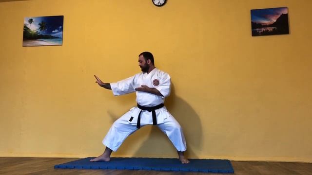 27.04.2020г. Видео занятие: Карате.Блок Шуто-уке в стойке Кокцу-дачи. смотреть онлайн