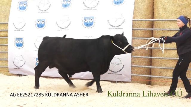 2. KULDRANNA ASHER 25217285 смотреть онлайн