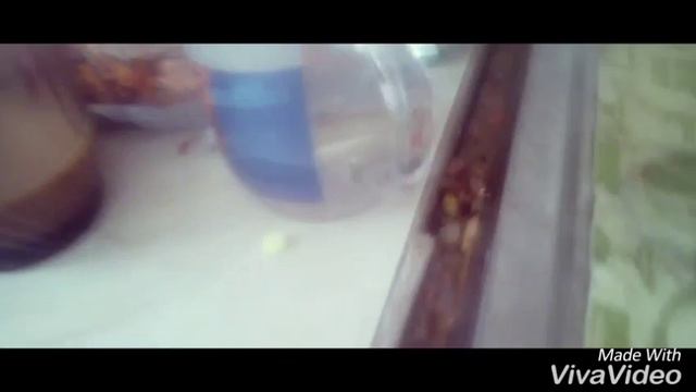 Моя сестра заболела смотреть онлайн