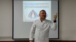 Дыхательная система. Функциональная и клиническая анатомия органов дыхания